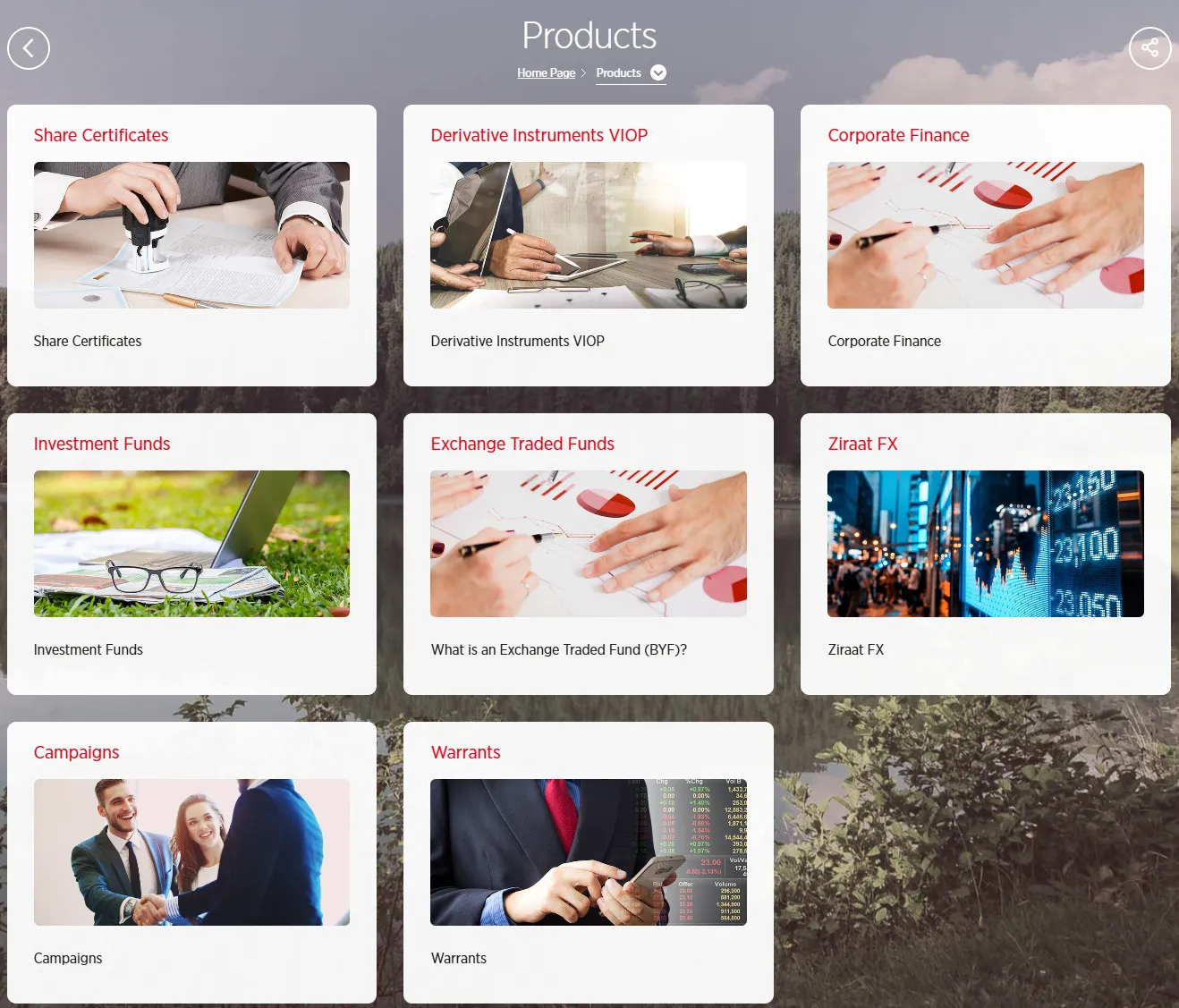 Products