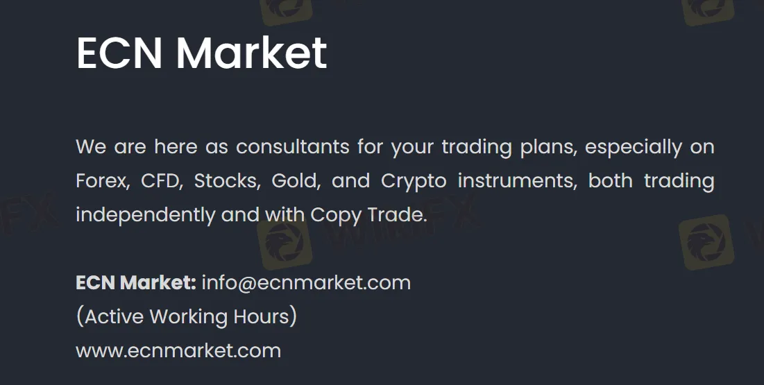 What Can I Trade on ECN Market?