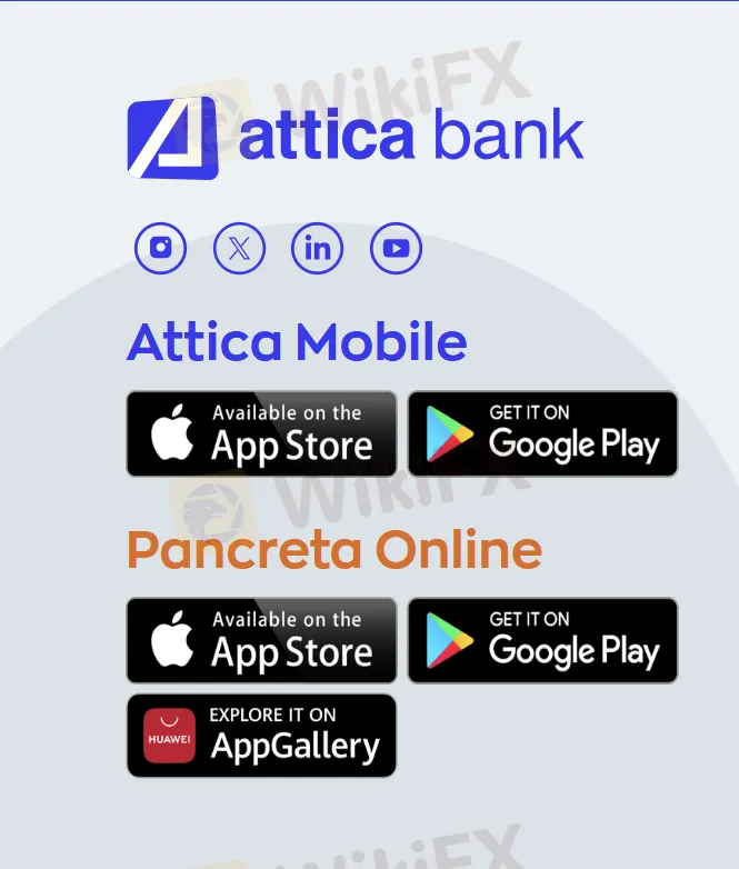 Platform/APP
