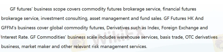 GF Futures Services
