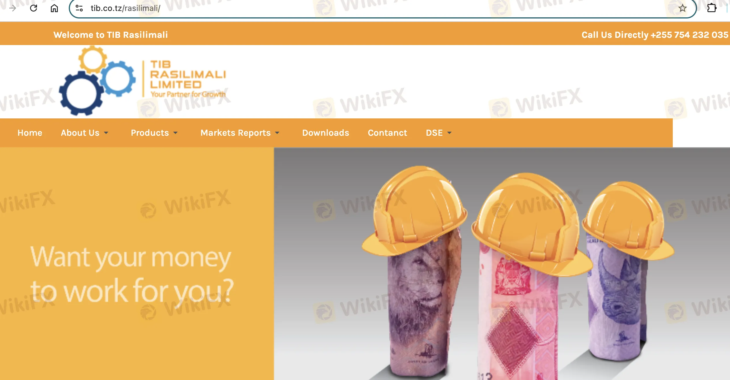 TIB's homepage