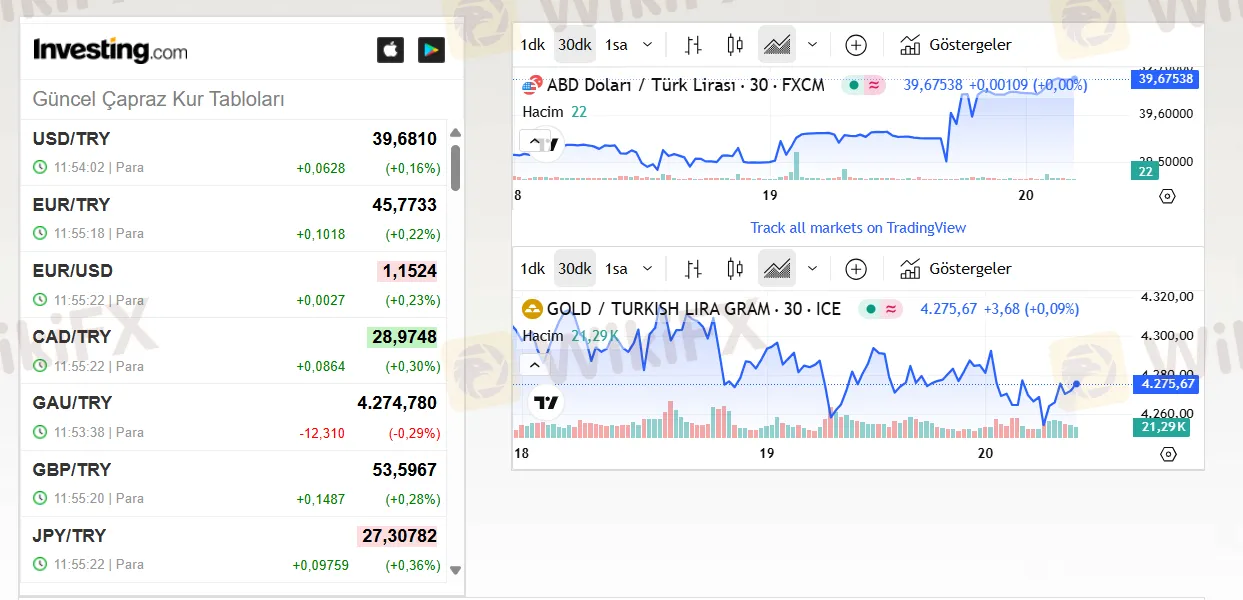 What Can I Trade on Yıldız Currency Group?