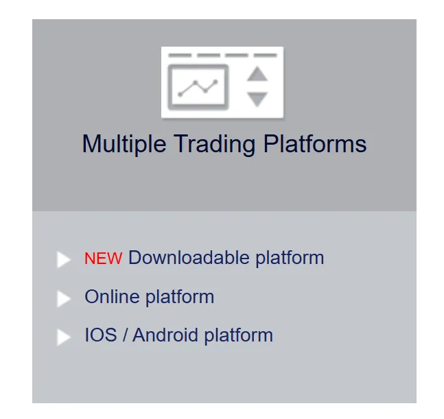 OptionWeb 平台