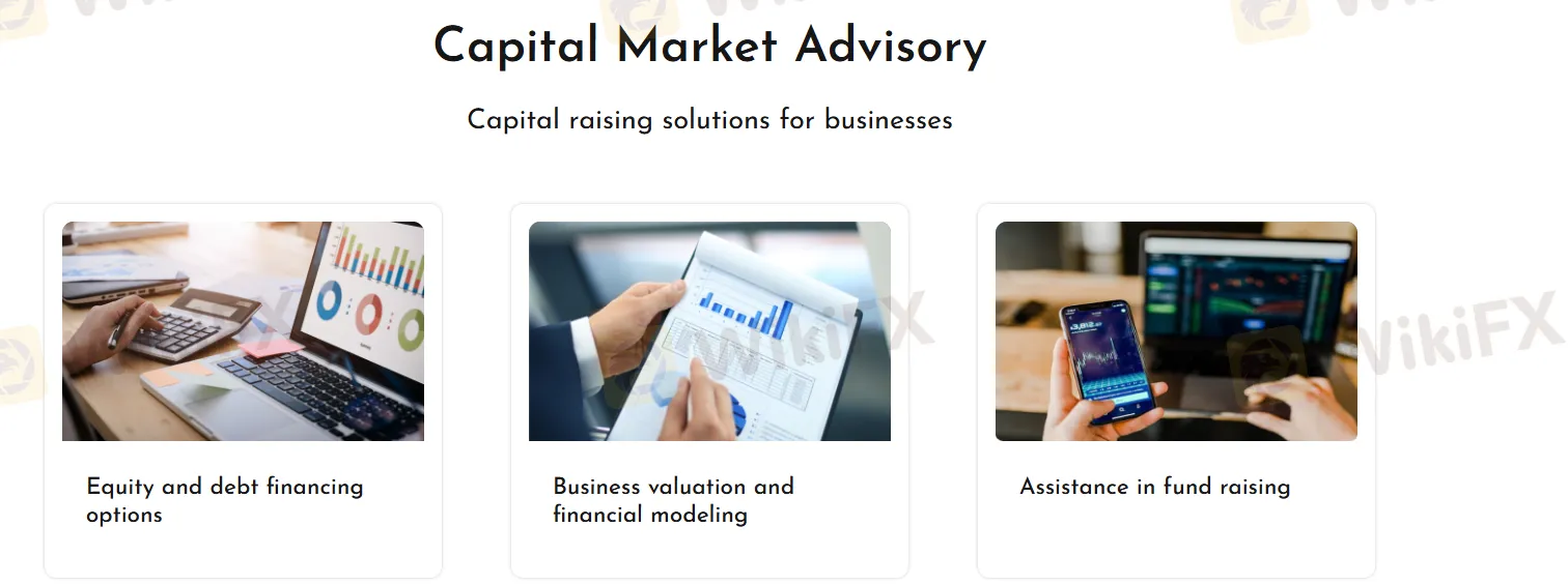 Capital Market Advisory