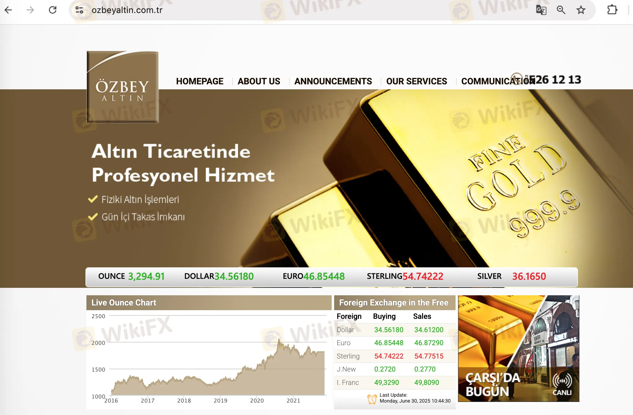 OZBEY ALTIN's homepage