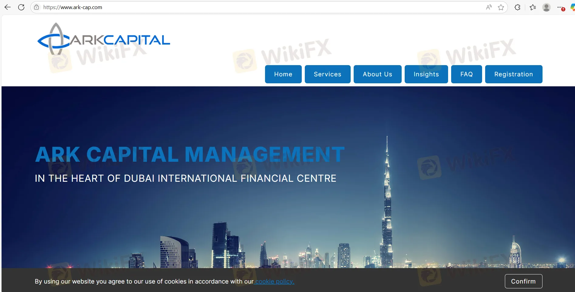 Ark Capital Information