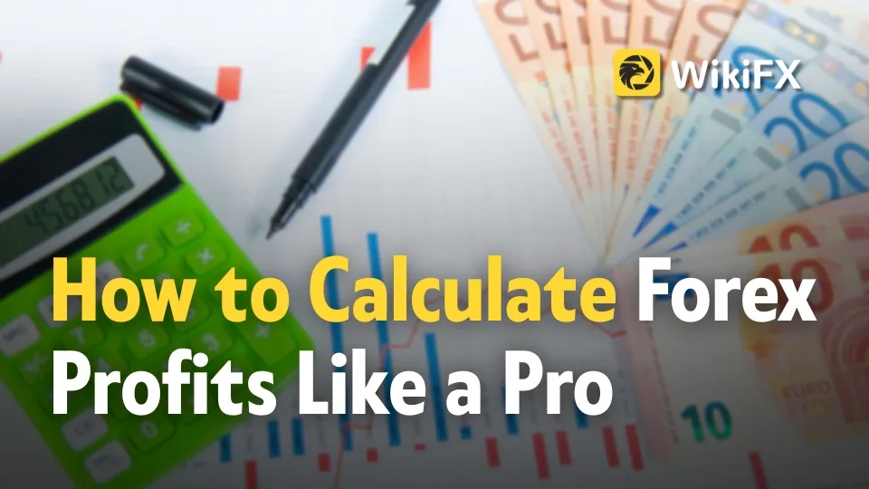 Forex Profit Calculator How to Calculate Forex Profits Like a Pro.jpg Forex Profit Calculator How to Calculate Forex Profits Like a Pro.jpg