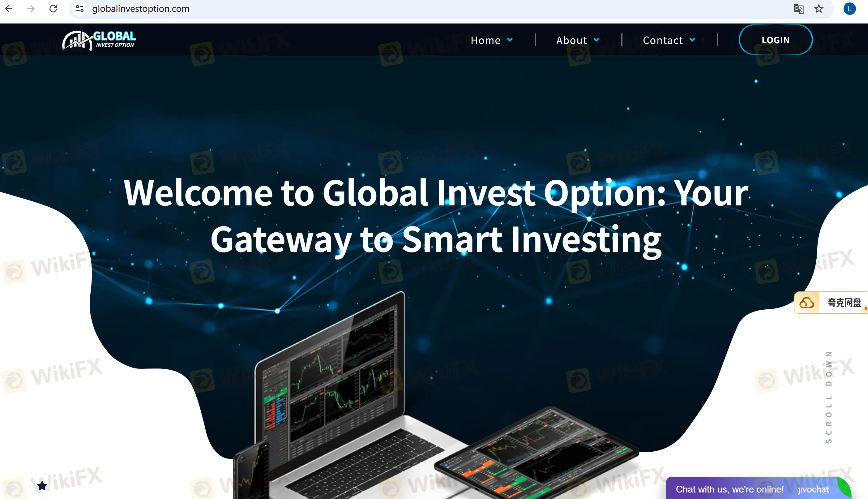 Global Invest Option's homepage