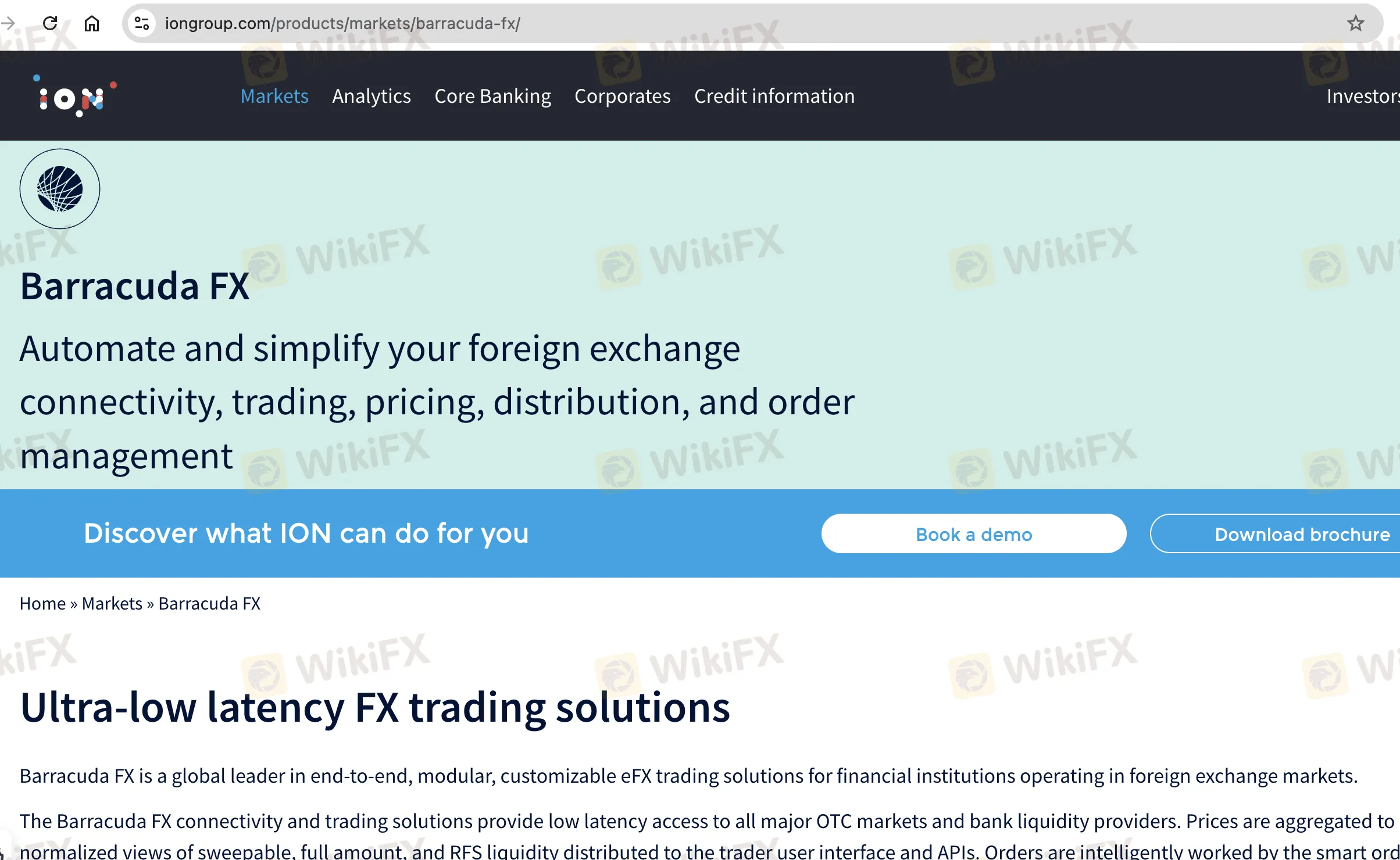 BARRACUDA FX's homepage