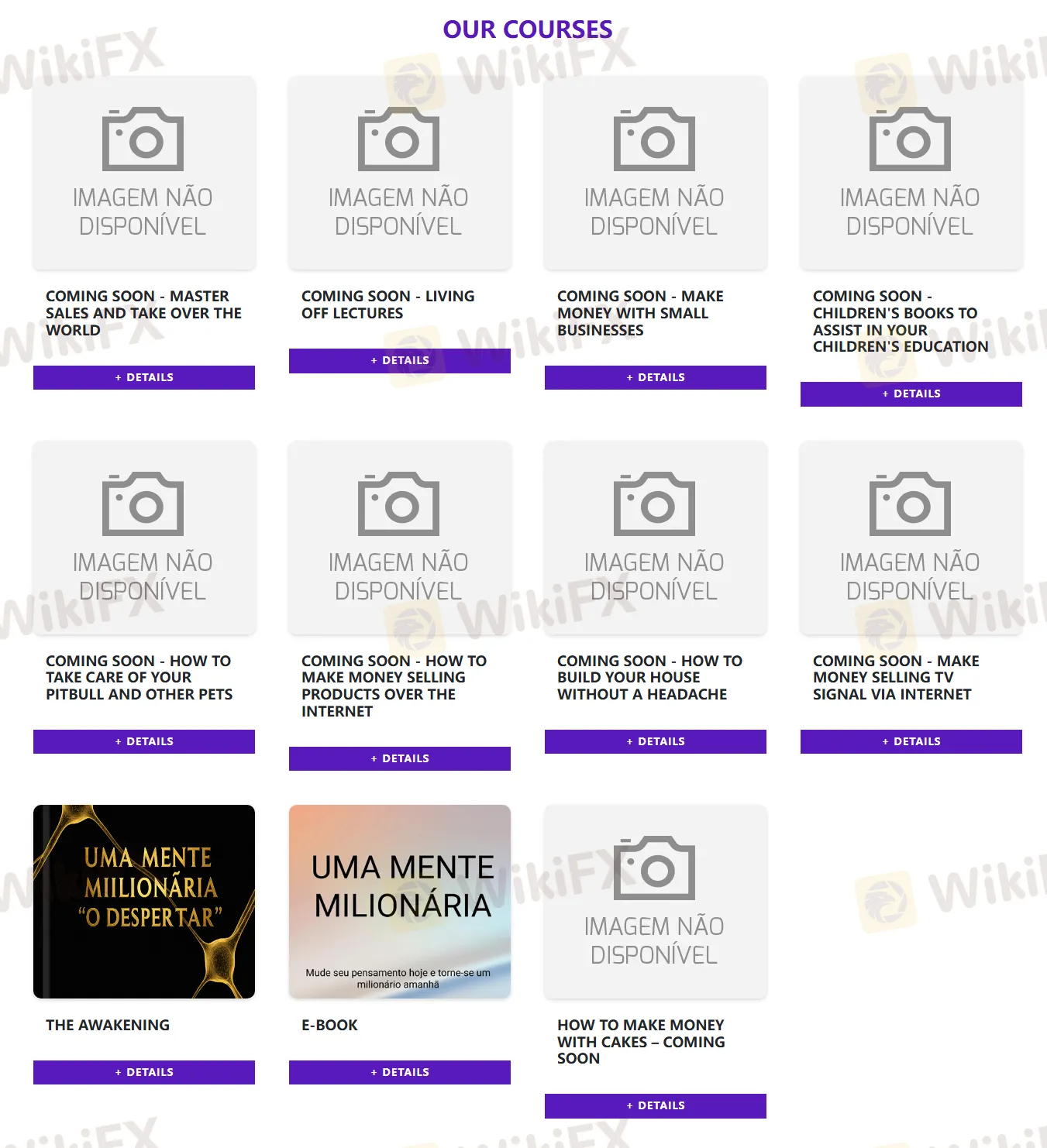 CintraGroup Dịch Vụ