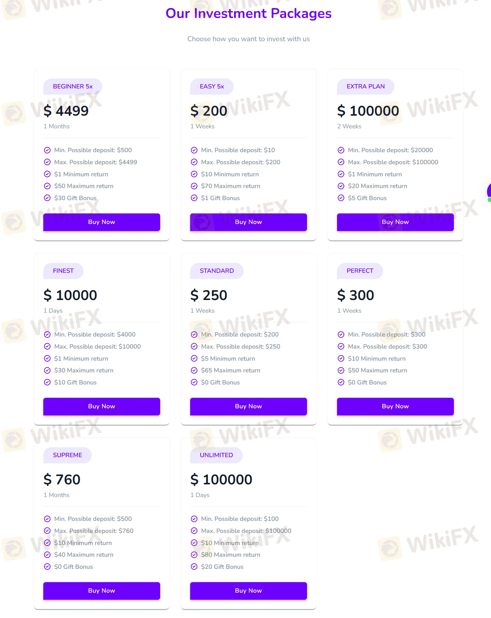 Investment Packages