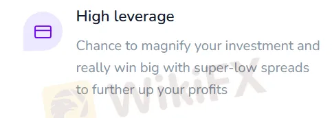 Leverage