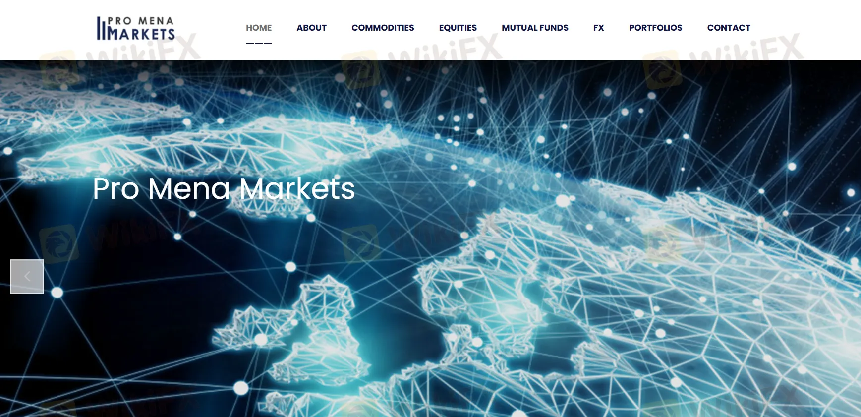 Pro MENA Markets Information