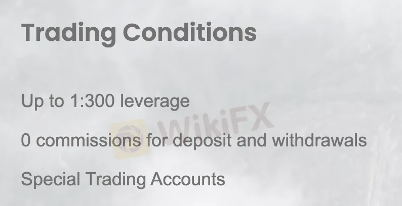 Leverage