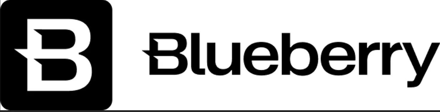 blueberry.jpg blueberry.jpg