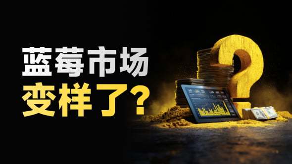 蓝莓市场变样了！Logo、客户站、代理站全更新，澳洲平台好用吗？