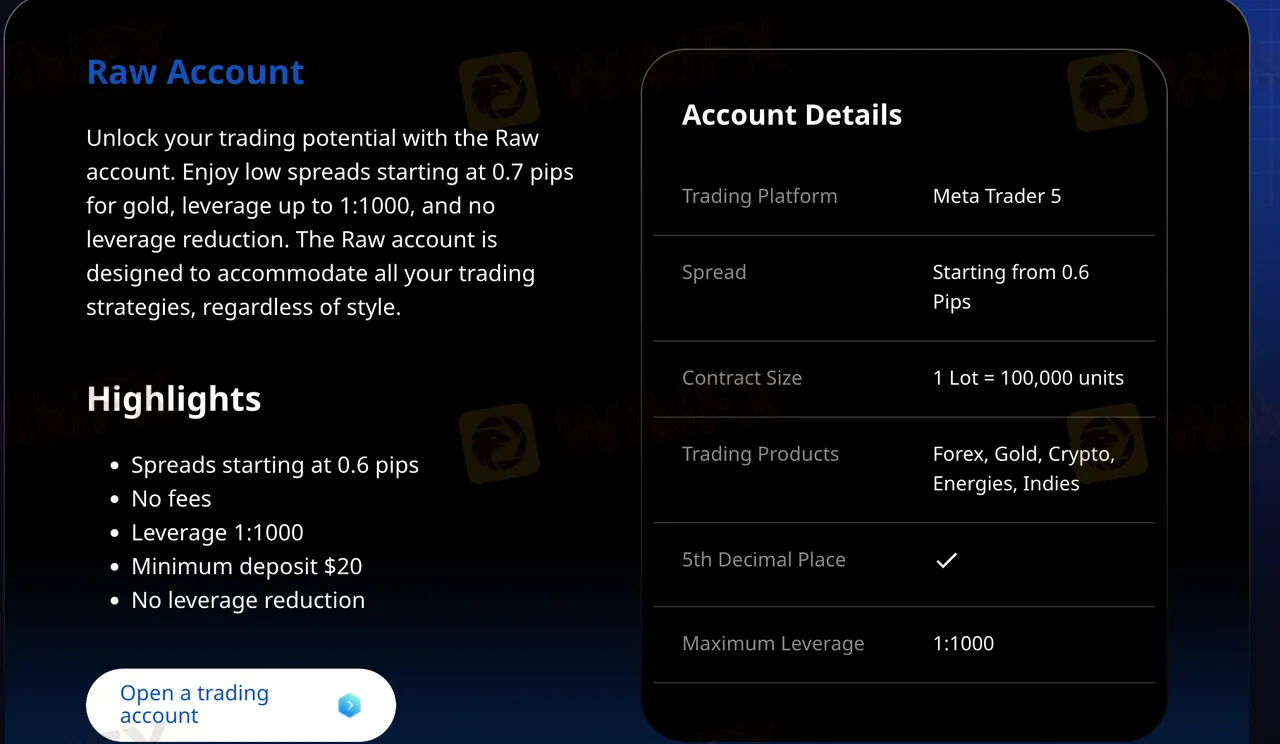Raw account features