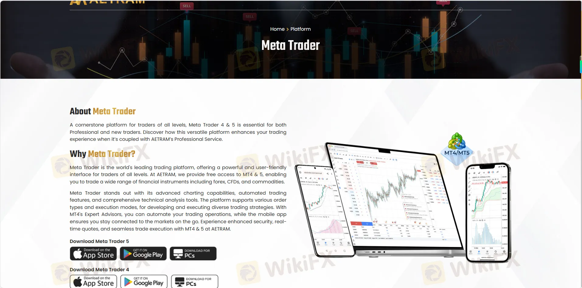MT4 and MT5 platforms