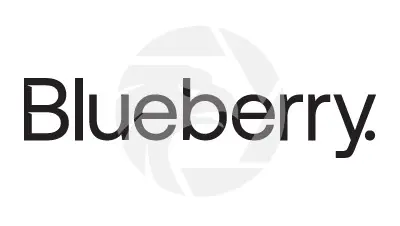 Blueberry Markets藍莓市場全新品牌與官網上線，聚焦清晰、精準與交易者賦能