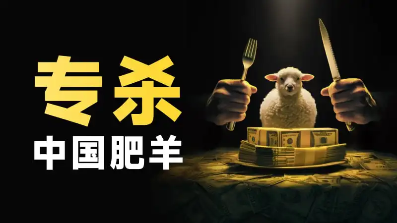 炒外汇却被当猴耍 为啥这个国家的平台专门收割中国人？