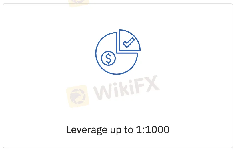 Leverage