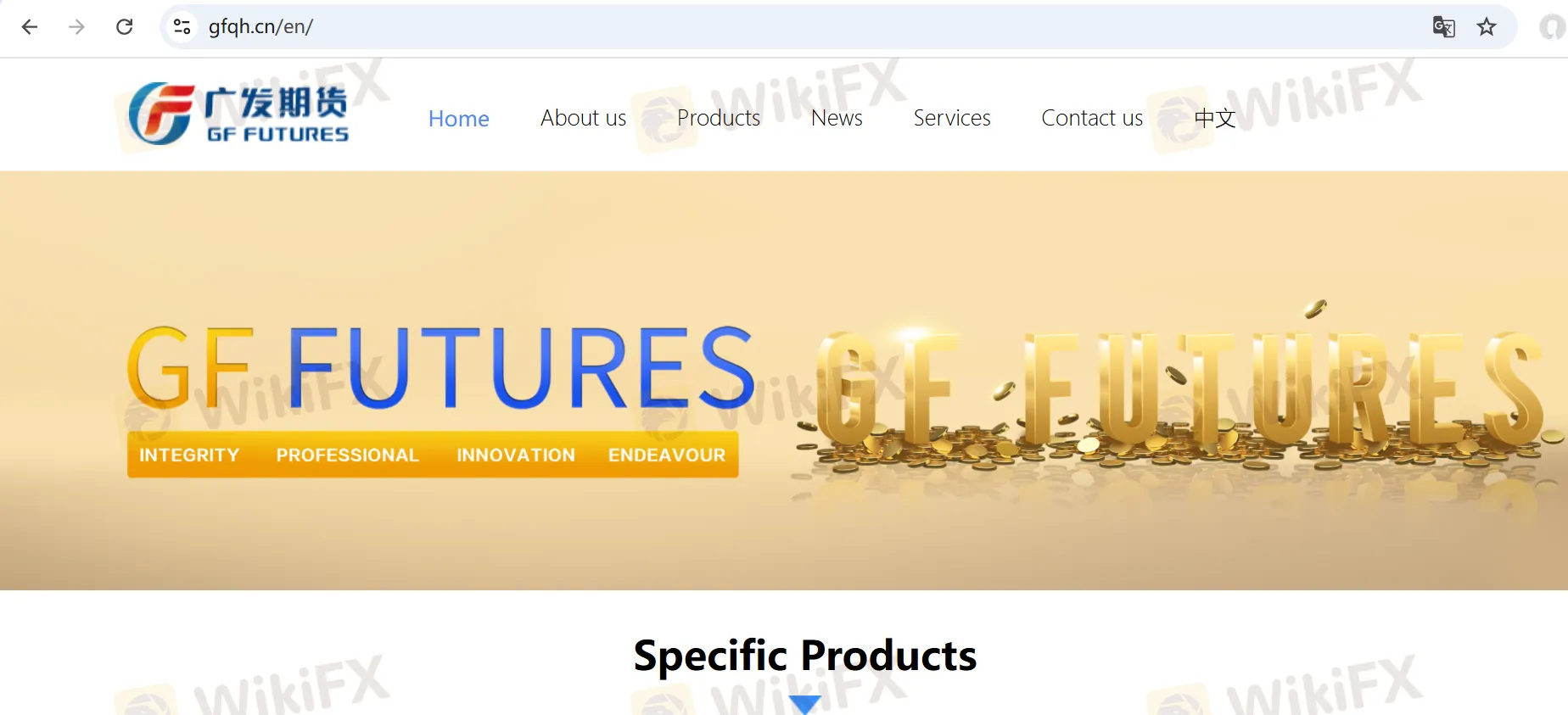 GF Futures Information
