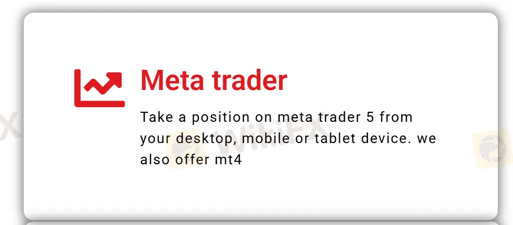 MT4 and MT5 platforms