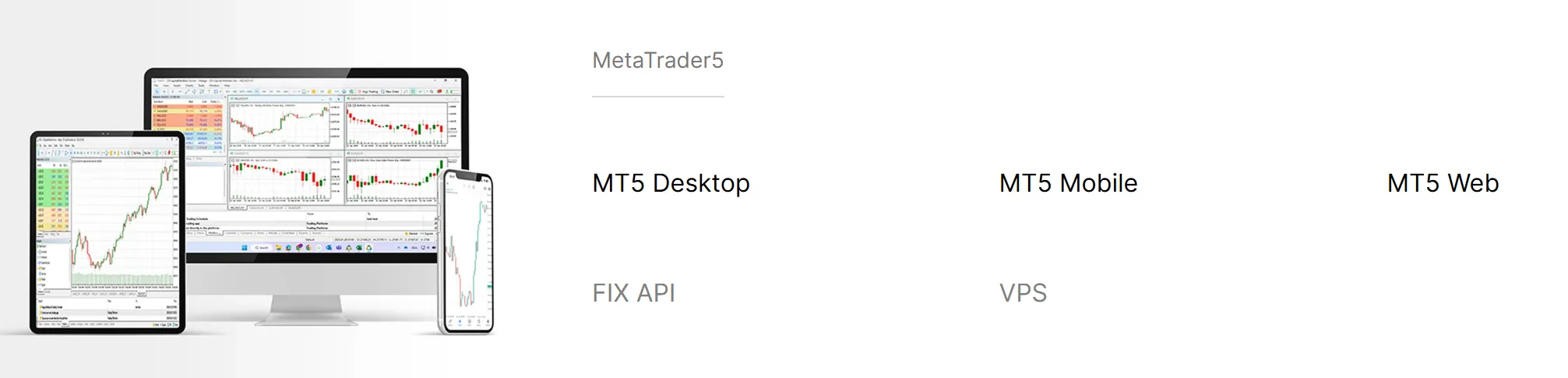 MT5