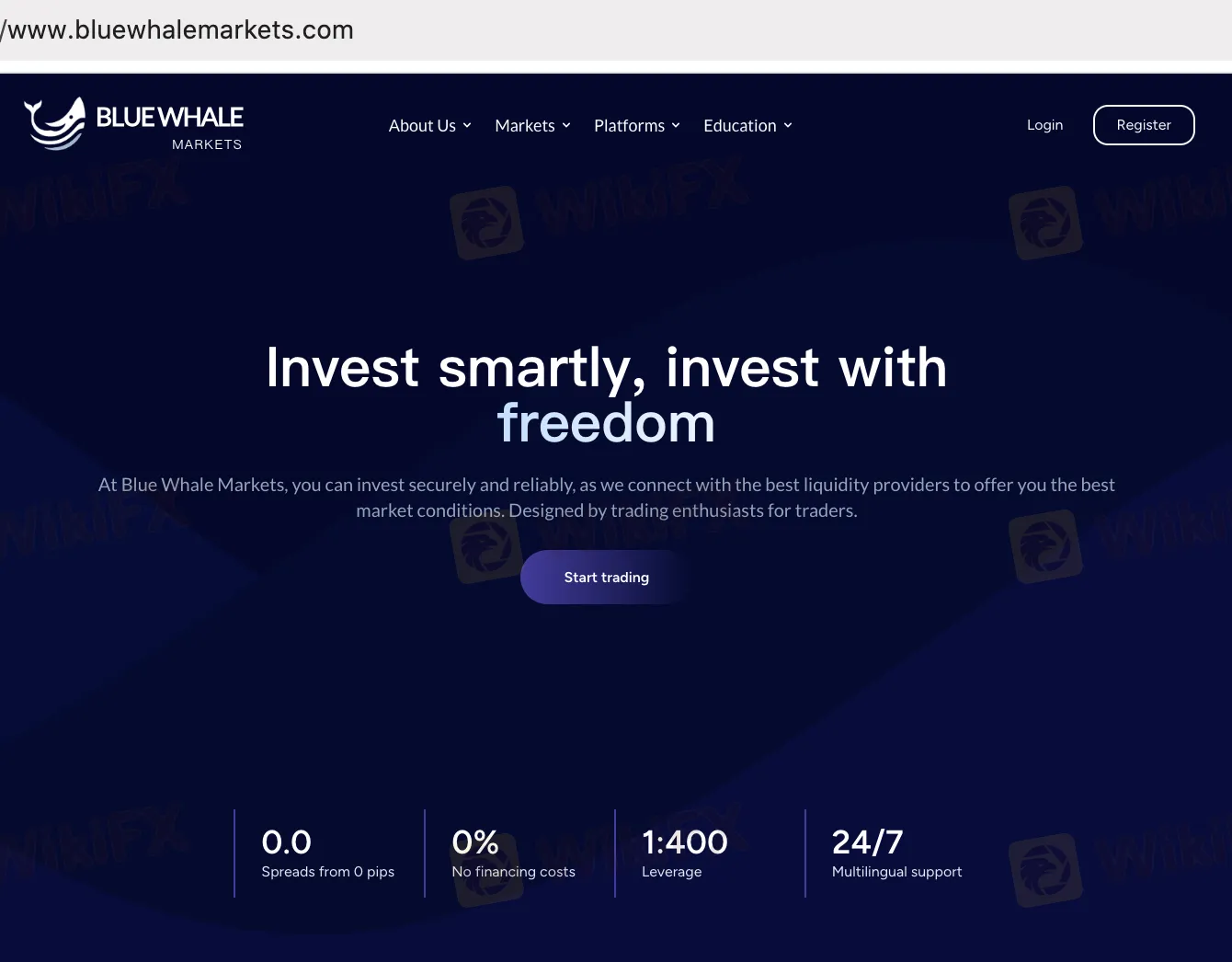 Blue Whale Markets' homepage