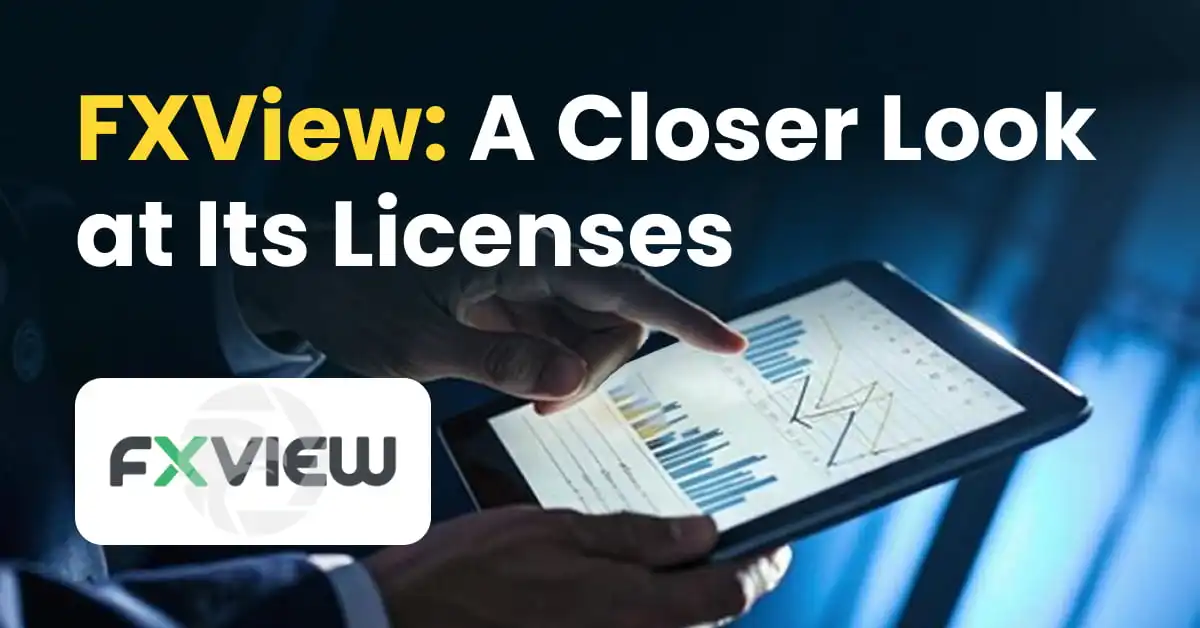 FXView: A Closer Look at Its Licenses 
