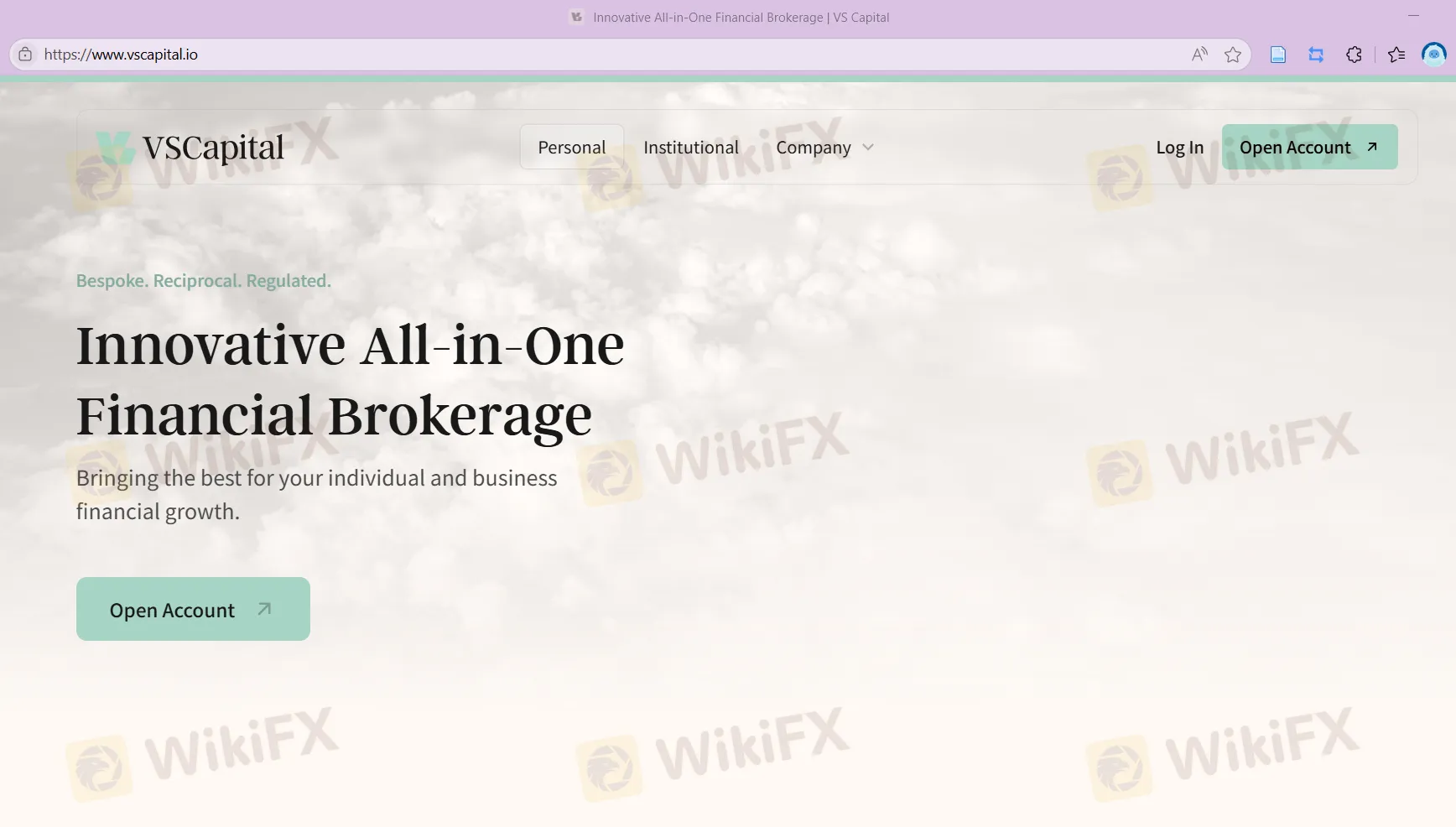 VS Capital's homepage