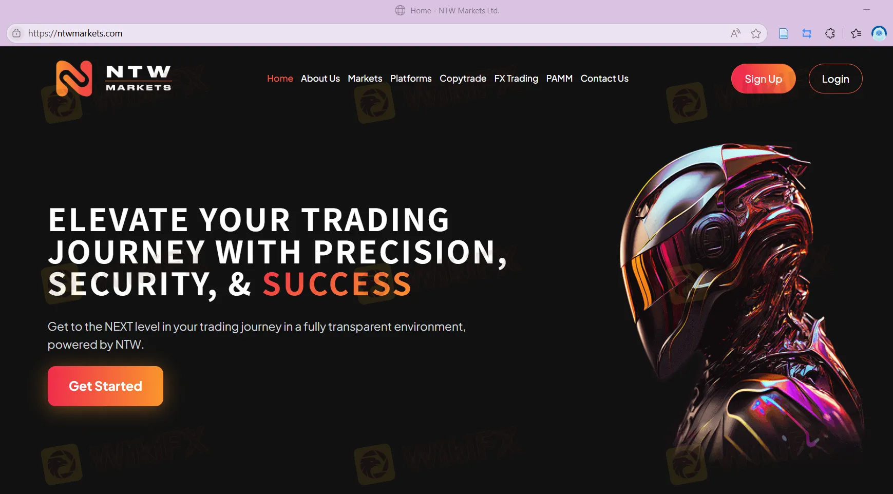 NTW Markets' homepage