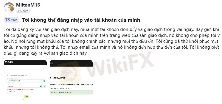 bang-chung-4.png
