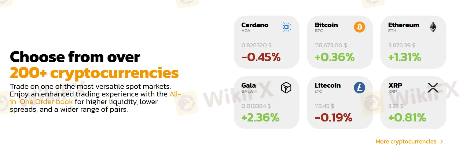 What Can I Trade on BITmarkets?