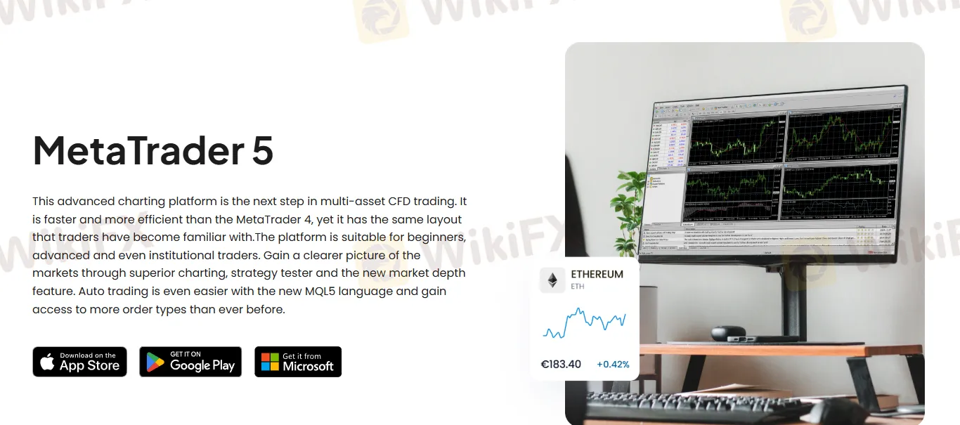 Platform MT5 Platform MT5