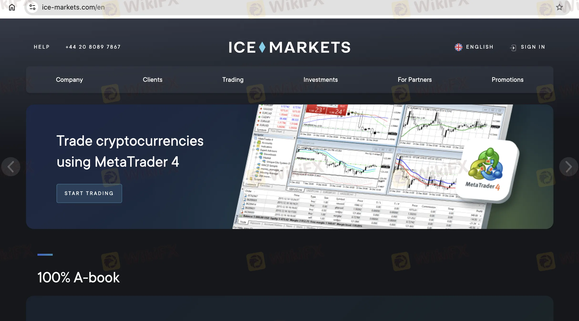 ICE Markets Information
