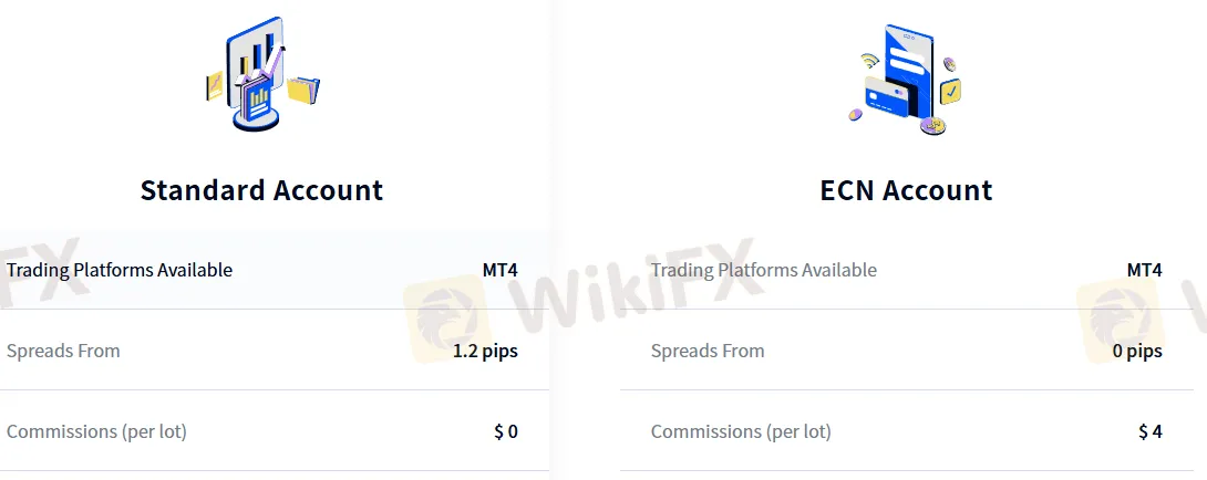 DLSM Fees