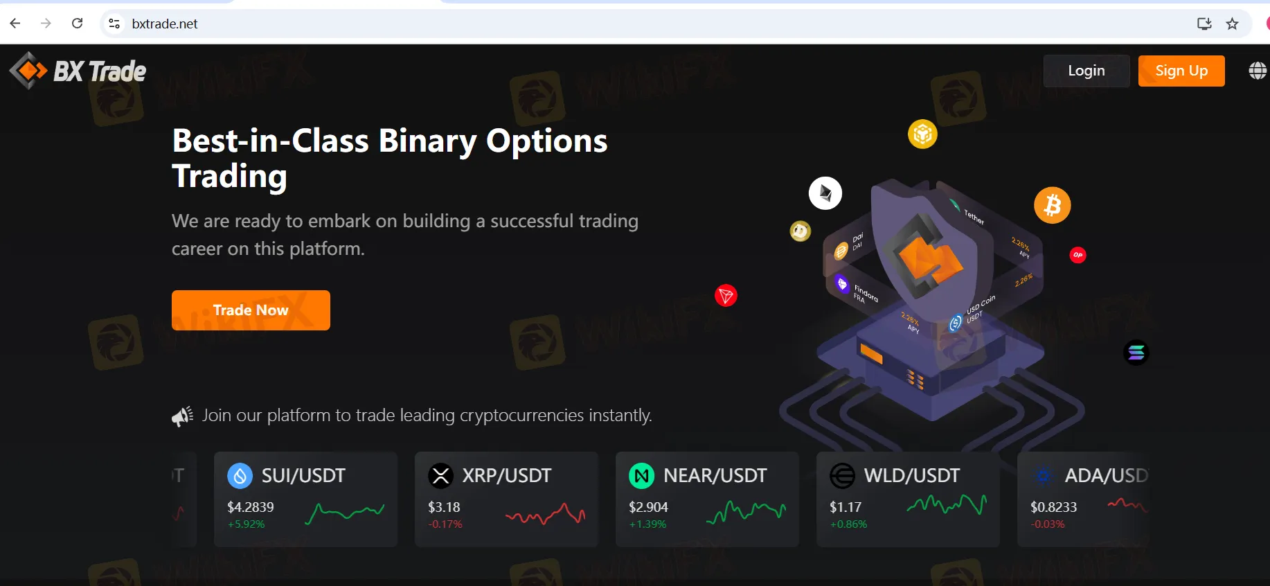 BX Trade Information BX Trade Information