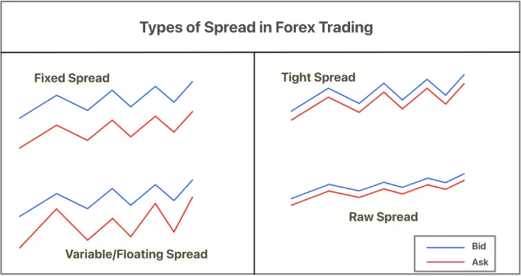 types-of-spread (1).jpg