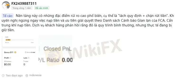 bang-chung-3.png