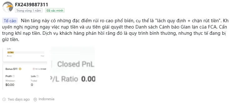 bang-chung-3.png