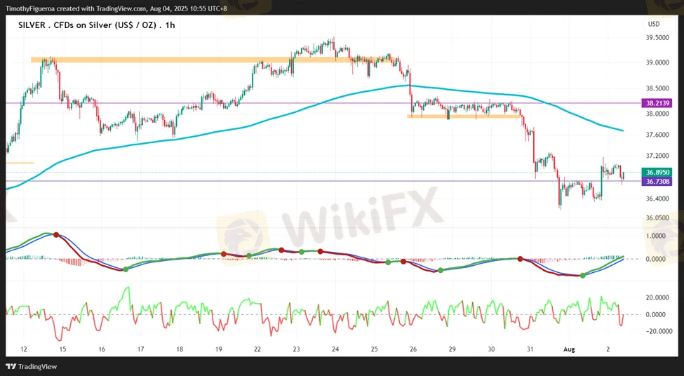 cac400376e3642848b7b098662b577fc.png