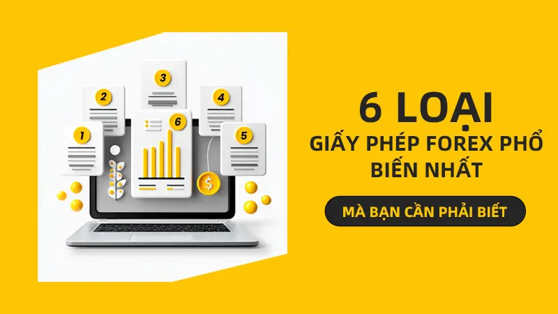 Các loại giấy phép Forex phổ biến nhất: Trader cần hiểu gì trước khi chọn sàn?