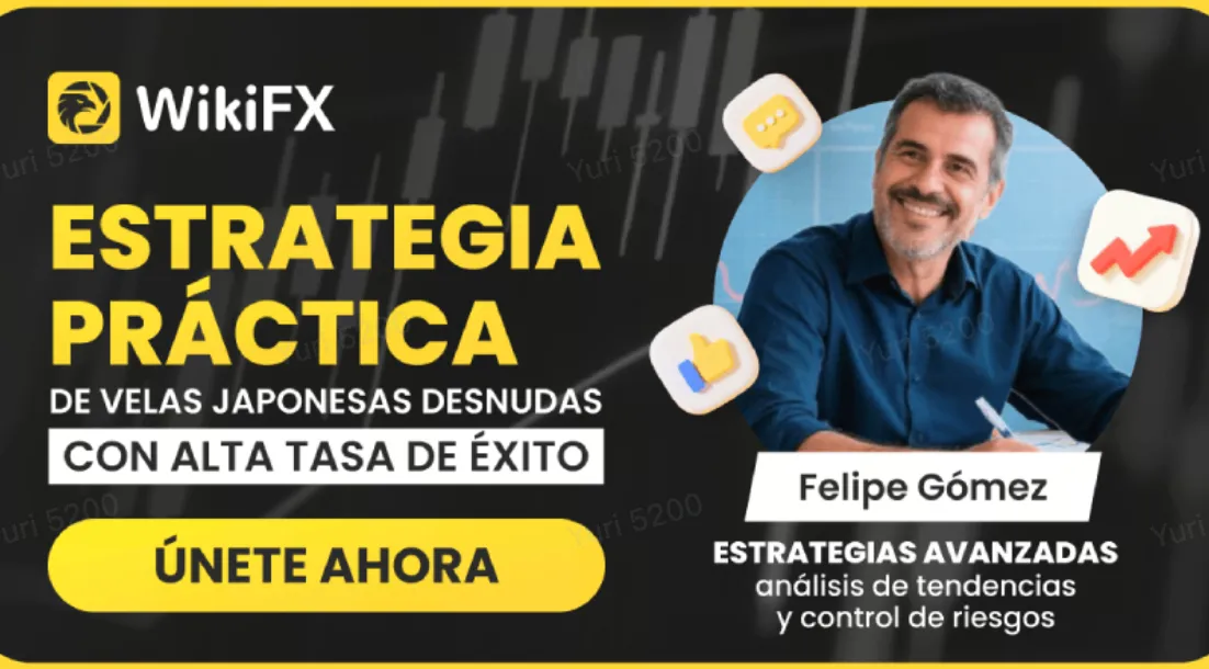 Estrategia práctica de trading con velas japonesas desnudas de alta efectividad Estrategia práctica de trading con velas japonesas desnudas de alta efectividad