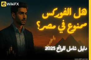 هل الفوركس ممنوع في مصر؟ دليل شامل للوائح 2025