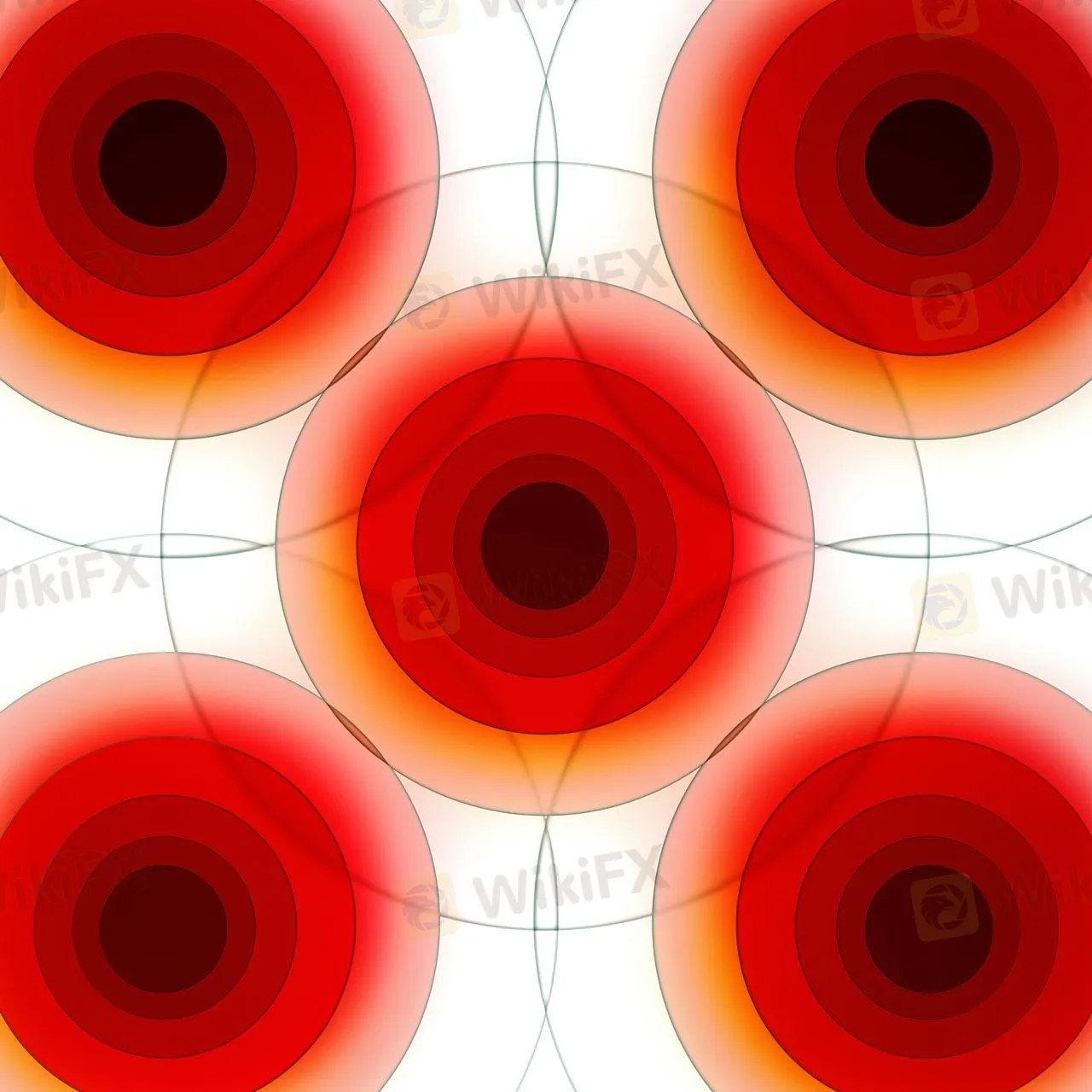 b88da32a-88c3-496e-a93e-d6ad3d925b1d.jpeg