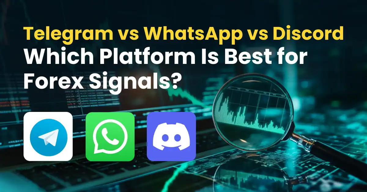 Telegram vs WhatsApp vs Discord: Which Platform Is Best for Forex Signals?