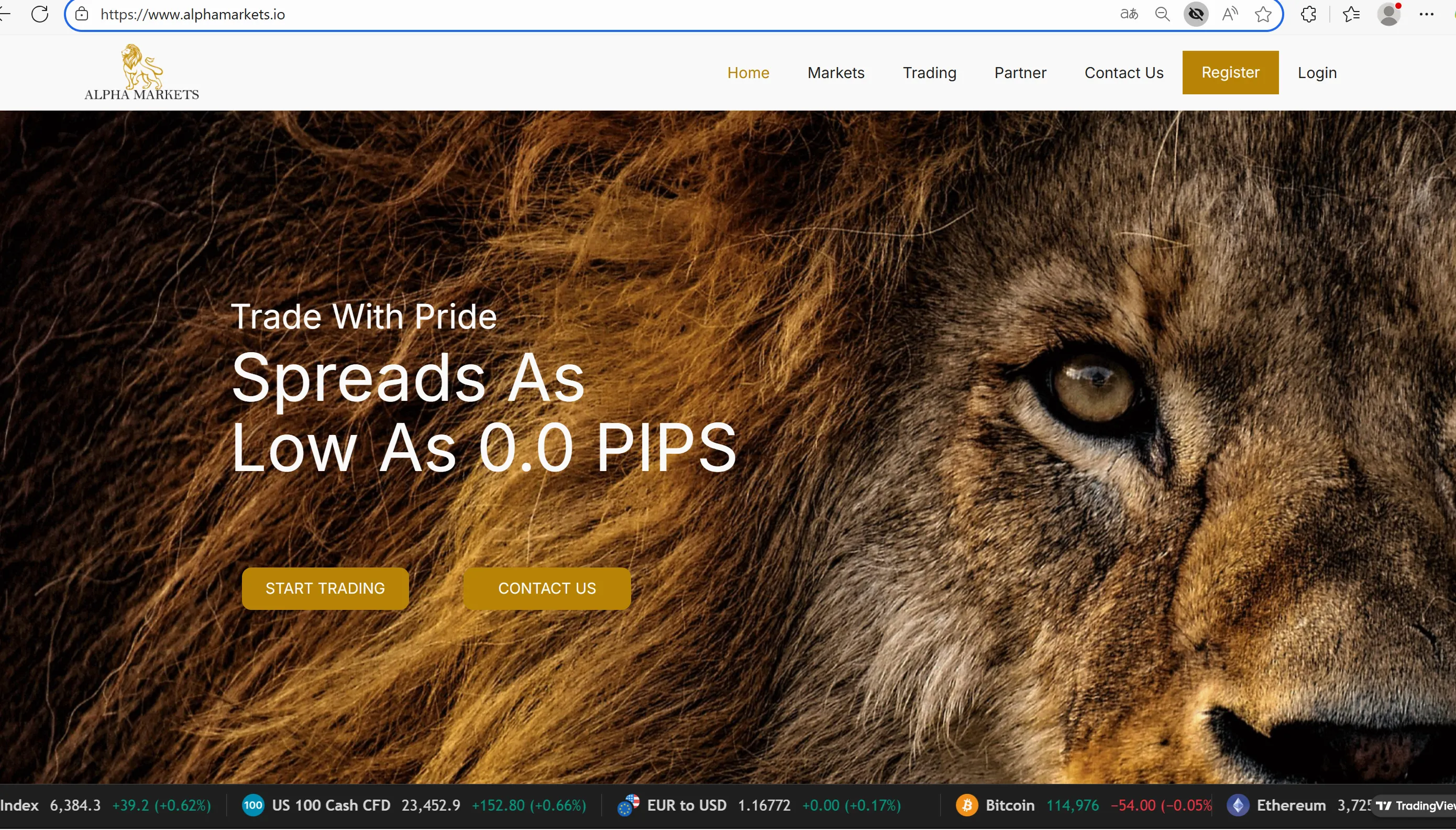 Alpha Markets' homepage Alpha Markets' homepage