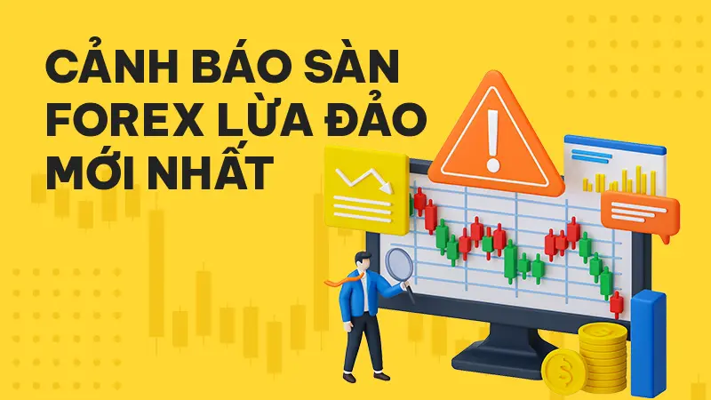 Cảnh báo sàn Forex lừa đảo mới nhất MTrading: Sự thật phơi bày