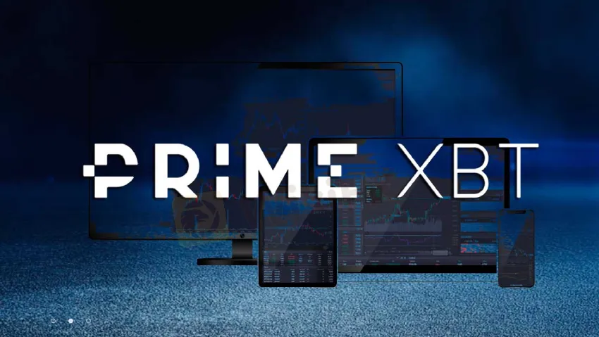 PrimeXBT-wikifx (1).jpg